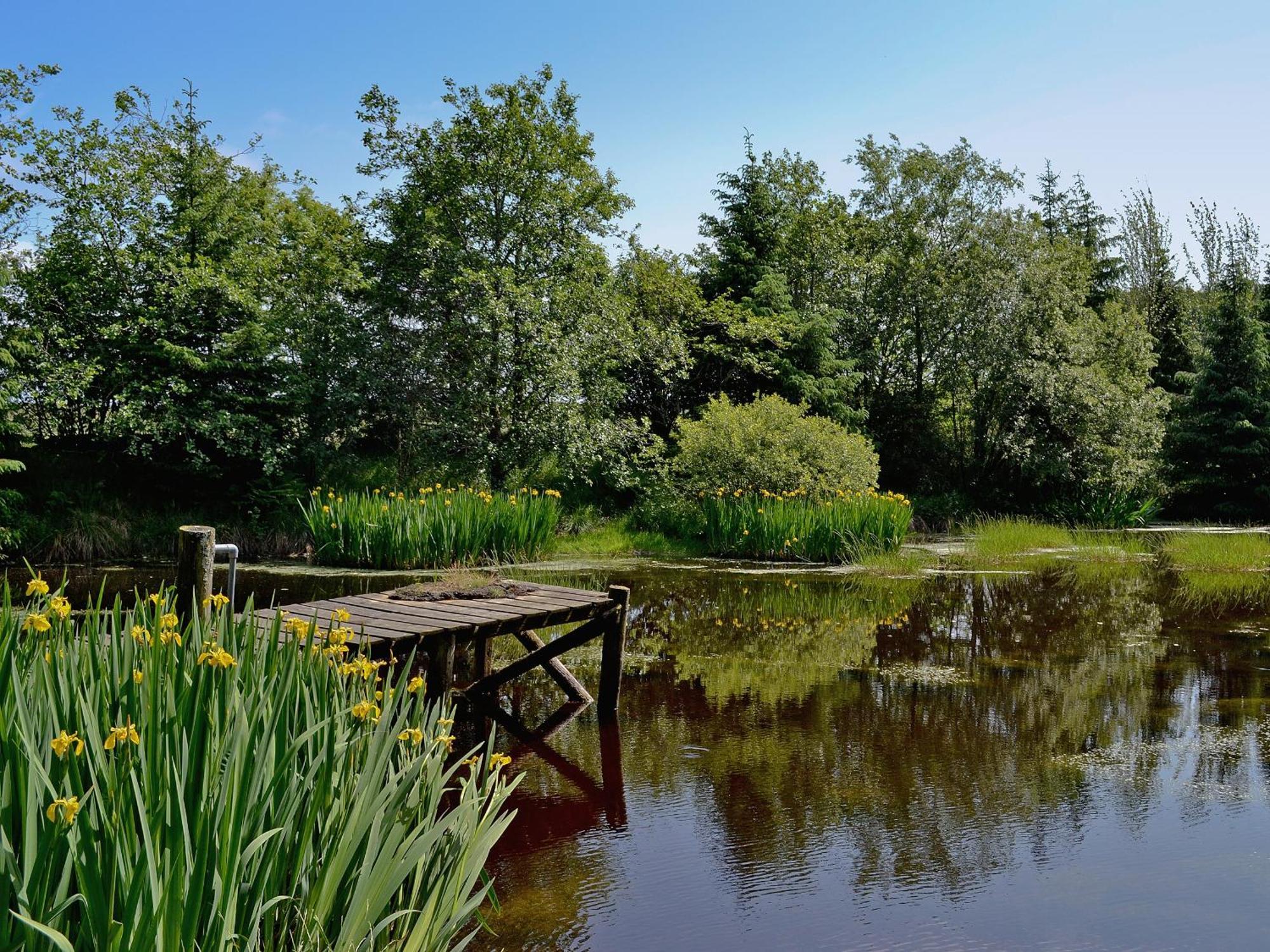 Swallow Lodge Carsphairn Екстер'єр фото